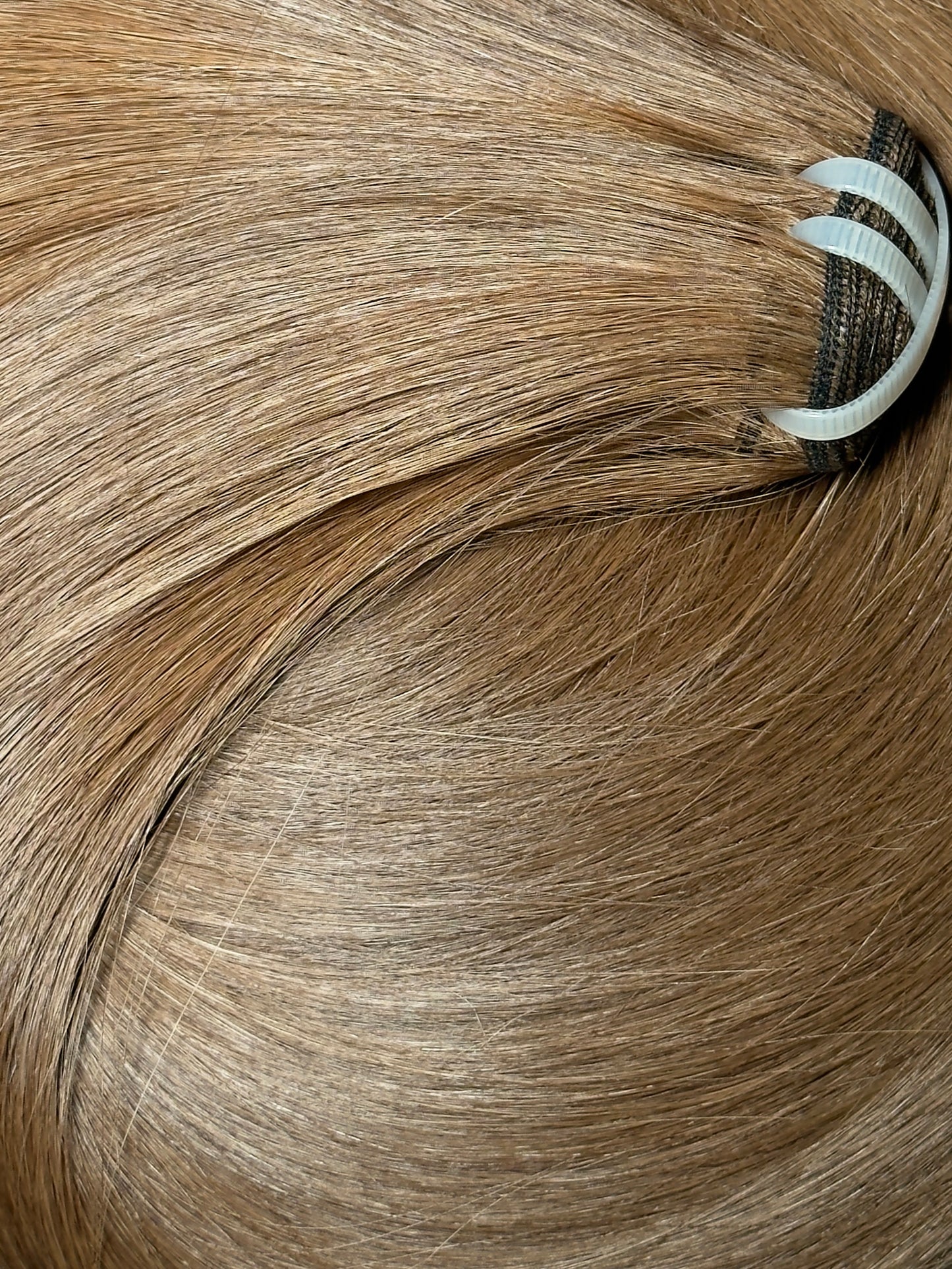 'SIKA' - NO ROOTS